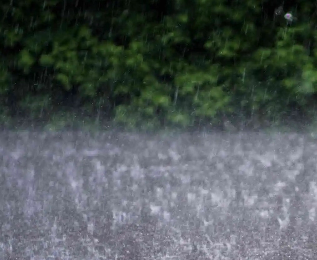How different rainfall will affect your crops